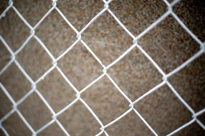 Wire Mesh Fence Installation in Sacramento, CA